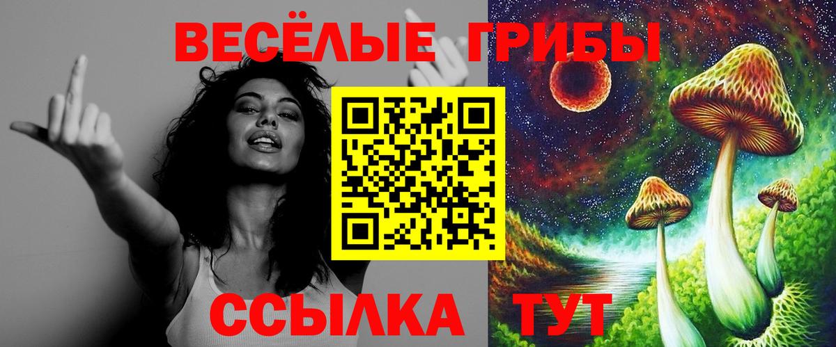 Орёл  Галлюциногенные грибы Psilocybine cubensis  Вход с VPN  Псилоцибиновые грибы MAGIC MUSHROOMS 