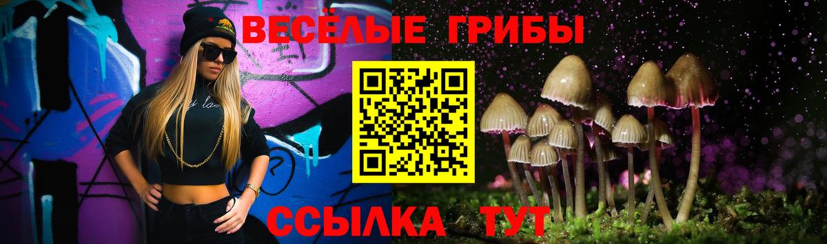 Галлюциногенные грибы Psilocybe Орёл